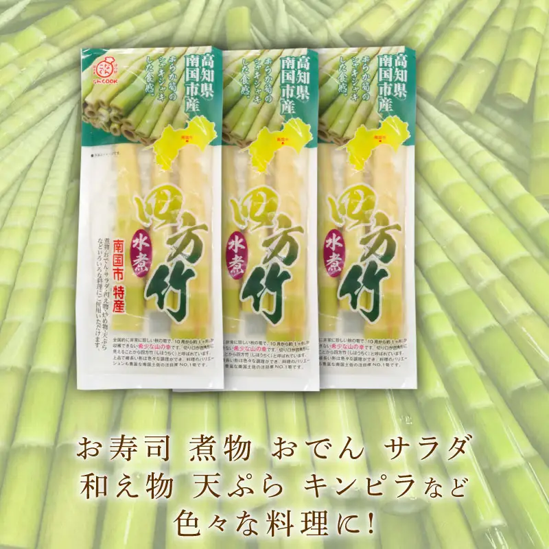 四方竹 水煮 100g×3パック シャキシャキ 食感 珍味 季節 特産 珍しい 柔らか 筍 タケノコ 竹の子 煮物 おでん サラダ 和え物 天ぷら キンピラ お寿司 高知県 南国市