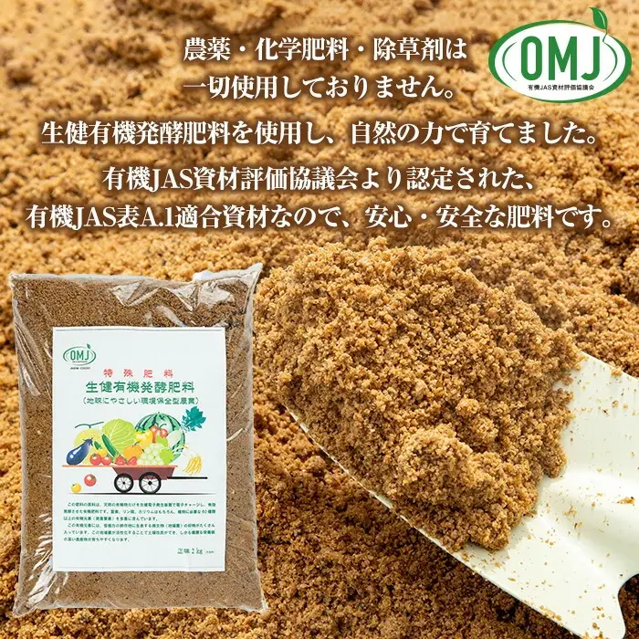緑茶 ティーバッグ 3g×20袋 計 60g 個包装 米丸製茶【00-035-04】