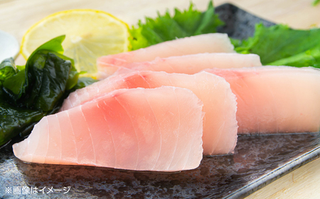 厳選 天然 マグロ 2種セット（計約650g） / 高知 魚介 海鮮 鮮魚 魚 マグロ まぐろ 鮪 新鮮 天然 刺身 寿司 セット 【株式会社Dorago】[ATAM054]
