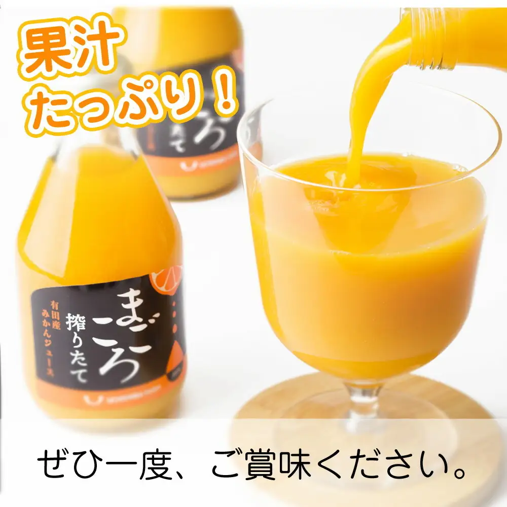 ZE6448_「まごころ」有田みかん 100％ ジュース 1000ml 1本