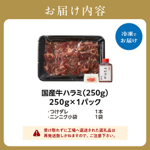 貴重！国産牛ハラミ 肉汁溢れる 「京都人気焼肉店」 250g 093-42 ｜ ハラミ