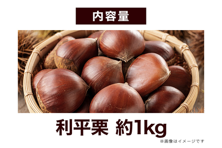 生栗 1kg 利平 栗 くり 国産  2L サイズ 以上 大きい 大粒 取り寄せ 笠間 茨城 和栗 甘栗 低温熟成 ギフト プレゼント 秋 旬 おやつ スイーツ 果物 フルーツ 焼き栗 栗ご飯 栗きんとん 栗おこわ 冷蔵 栗生産量 日本一 いばらき AH-012