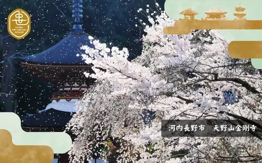 歴史と生姜が香る 薬膳精進カレー ５個