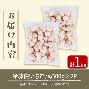 No.646-B 冷凍白いちご(約500g×2袋・計約1kg) 国産 鹿児島 日置市 加工品 苺 イチゴ いちご 冷凍 果物 くだもの フルーツ 小粒 冷凍果実 アイス スムージー シロップ ジャム 冷凍フルーツ 数量限定 【ままりあ農園】