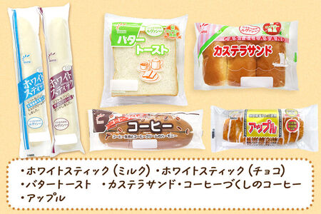 たけや製パン 【定期便3ヶ月】たけや製パン 秋田ふるさと満喫セット 10種各1個（合計10個） 菓子パン