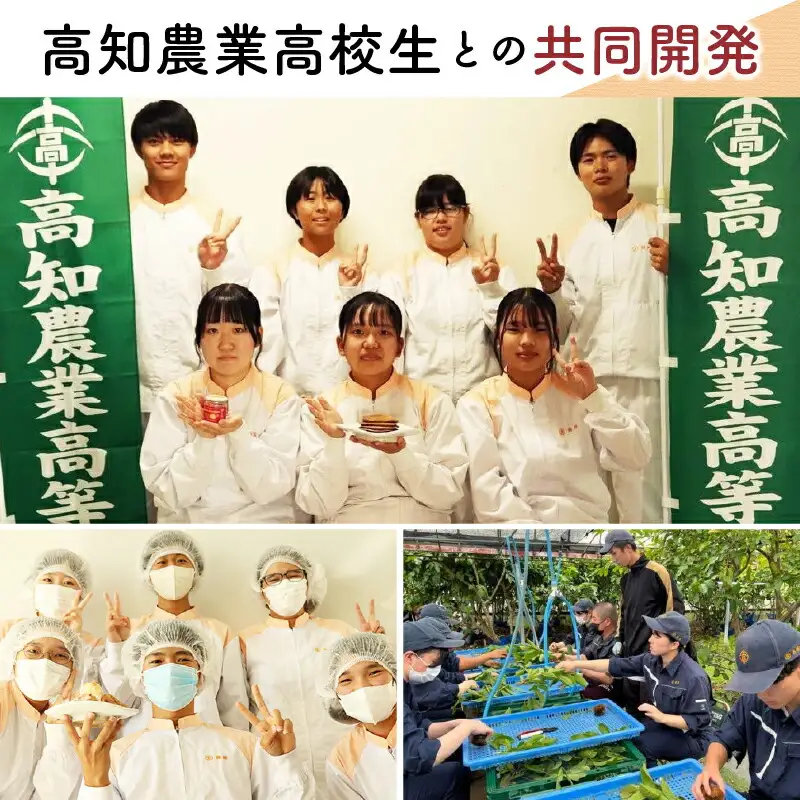 有機グアバ農園のなめらかジェラート 計18個 アイス ジェラート