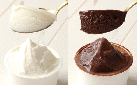 ジェラート 12個セット アイス 90ml 6種 各2個 ミルク いちごミルク ピスタチオ チョコ 抹茶 ラムレーズン 詰め合わせ 食べ比べ 岡山県 倉敷市