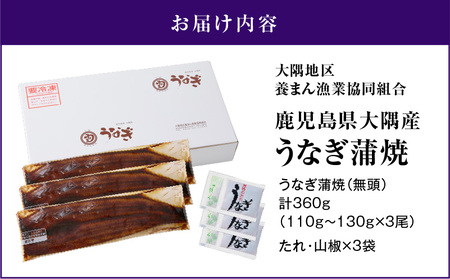 【 10営業日以内に発送 】【 期間限定 】  鹿児島県大隅産 うなぎ蒲焼 3尾セット（ 計360g ） KN007-021-sp 魚 冷凍 鰻 スピード配送 最短 すぐ届く お急ぎ