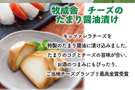 10か月定期便【飛騨乳製品バラエティセット】牛乳・ヨーグルト・チーズ詰め合わせ　11点セット ｜乳製品 習慣 詰合せ 家族 朝食  牧成舎 牧成舎 DF246