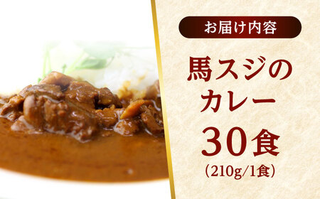 熊本 馬肉 馬スジのカレー 30食分（210g/食）カレー[AYAF116]