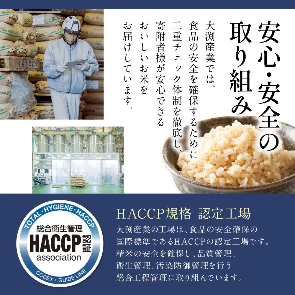 くまさんの輝き 発芽玄米 パックごはん 180g×24個入り 米 お米 コメ 熊本県産 国産 パックご飯 ひとり暮らし 非常食 防災 仕送り 備蓄
