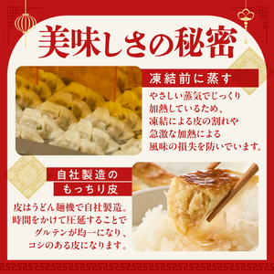 餃子　40個×4袋セット mi0115-0001 