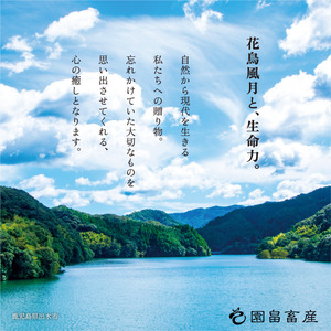 i1143 《希少な1％》園畠牛A5「卵くぐらせのさだめ」200g×2パック(計400g) 鹿児島県出水市 黒毛和牛 牛 牛肉 ステーキ モモ セット 鹿児島県産 国産 九州産 A5 A5等級 ブランド牛 冷凍 プレゼント 焼肉 BBQ 園畠牛 【園畠畜産】