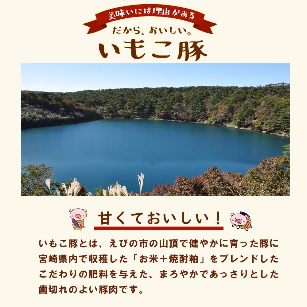 【3回定期便】豚肉 宮崎県産 いもこ豚 しゃぶしゃぶ セット 2.1kg × 3回 総合計 6.3kg しゃぶしゃぶ用 切り落とし 小分け 豚 豚バラ ロース 肩ロース スライス 小間切れ 鍋 鍋用 国産 九州産 宮崎 ブランド 冷凍 送料無料