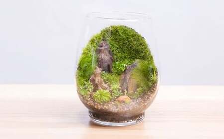 匠の土 崩れま宣言 5kg（1kg×5袋） つち 苔テラリウムアート アクアリウム ソイル