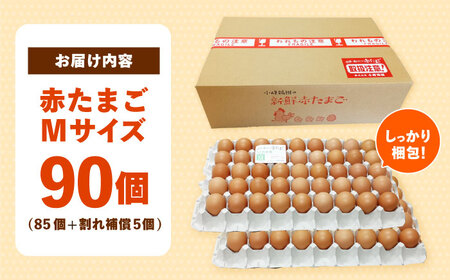 〈数量限定〉【朝採れ直送】小峰鶏園 赤たまご Mサイズ 90個 / 卵 玉子 たまご 卵焼き 玉子焼き 生卵 鶏卵 卵かけごはん / 諫早市 / 小峰鶏園 [AHFB002]