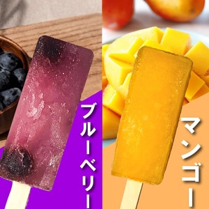 くずバー 12本 (5種類×2本＋ブルーベリー1本＋おまかせ1本) 冷凍 アイス スイーツ くずバー 果物 和菓子 お菓子 レモン 愛知県