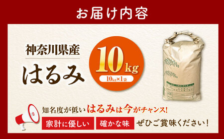 【白米】はるみ米 10kg 白米 [BDBB003]