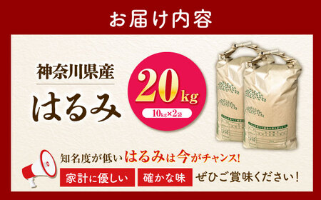 【白米】はるみ米 20kg 白米   [BDBB004]