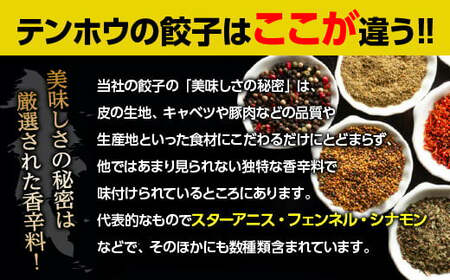 ぎょうざ 4袋[56粒×4袋] / テンホウ 冷凍 餃子 大容量 信州 長野県 諏訪市 諏訪 [21-05]