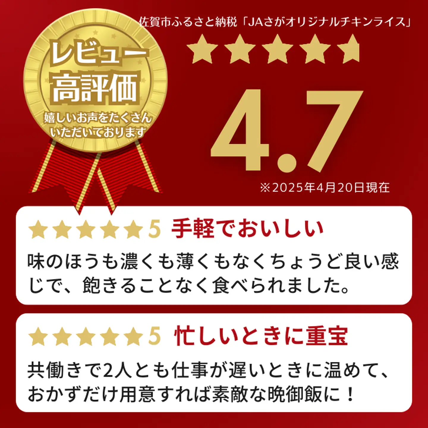 【定期便12回】ＪＡさがオリジナル チキンライス 250g×10袋：C150-050