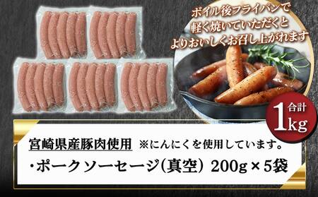 存在感のあるポークソーセージ1kg_AA-N403