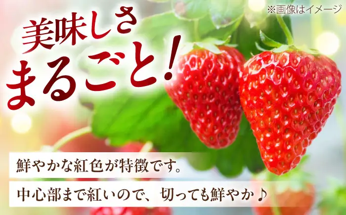 いちご 「紅ほっぺ」 2パック【株式会社フジ・アグリフーズ】BKAY001