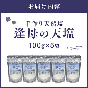 【1258-1】手作り天然塩　【逢母の天塩】100ｇ×5パック