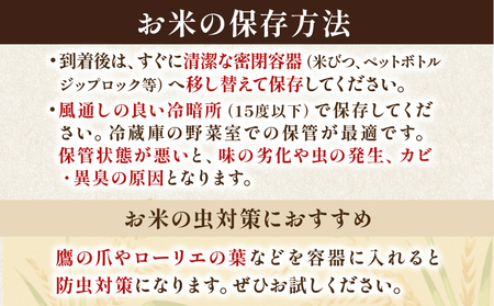 【令和7年産】 コシヒカリ 5kg 精米 白米 米 コメ