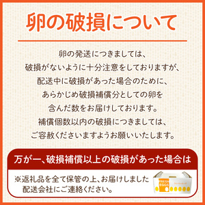 【6ヶ月定期便】【山ちゃん家の生みたて葉酸たまご】名古屋コーチン卵・赤玉元気卵 食べ比べセット（各15個 合計30個入り）［132Y10-T］6ヶ月定期便 山ちゃん家 生みたて 葉酸たまご 名古屋コーチン卵 赤玉元気卵 食べ比べ セット 各 15個 合計 30個 入り 地鶏 卵 朝食 卵焼き 目玉焼き オムライス ゆでたまご 山田養鶏 お取り寄せ 愛知県 小牧市 送料無料