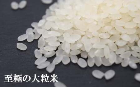 【令和7年産米】新之助 無洗米 3kg（300gボトル×10本） 重米2.0シリーズ 至極の大粒米 [Y0490]