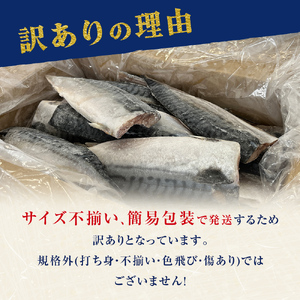 ＜ 訳あり ＞ 無添加 塩サバフィレ 1kg 魚 塩さば 冷凍 不揃い 規格外 焼き魚 焼魚 煮魚 魚 切身 切り身 青魚 鯖 切身 さば サバ フィレ 宮城県 石巻市