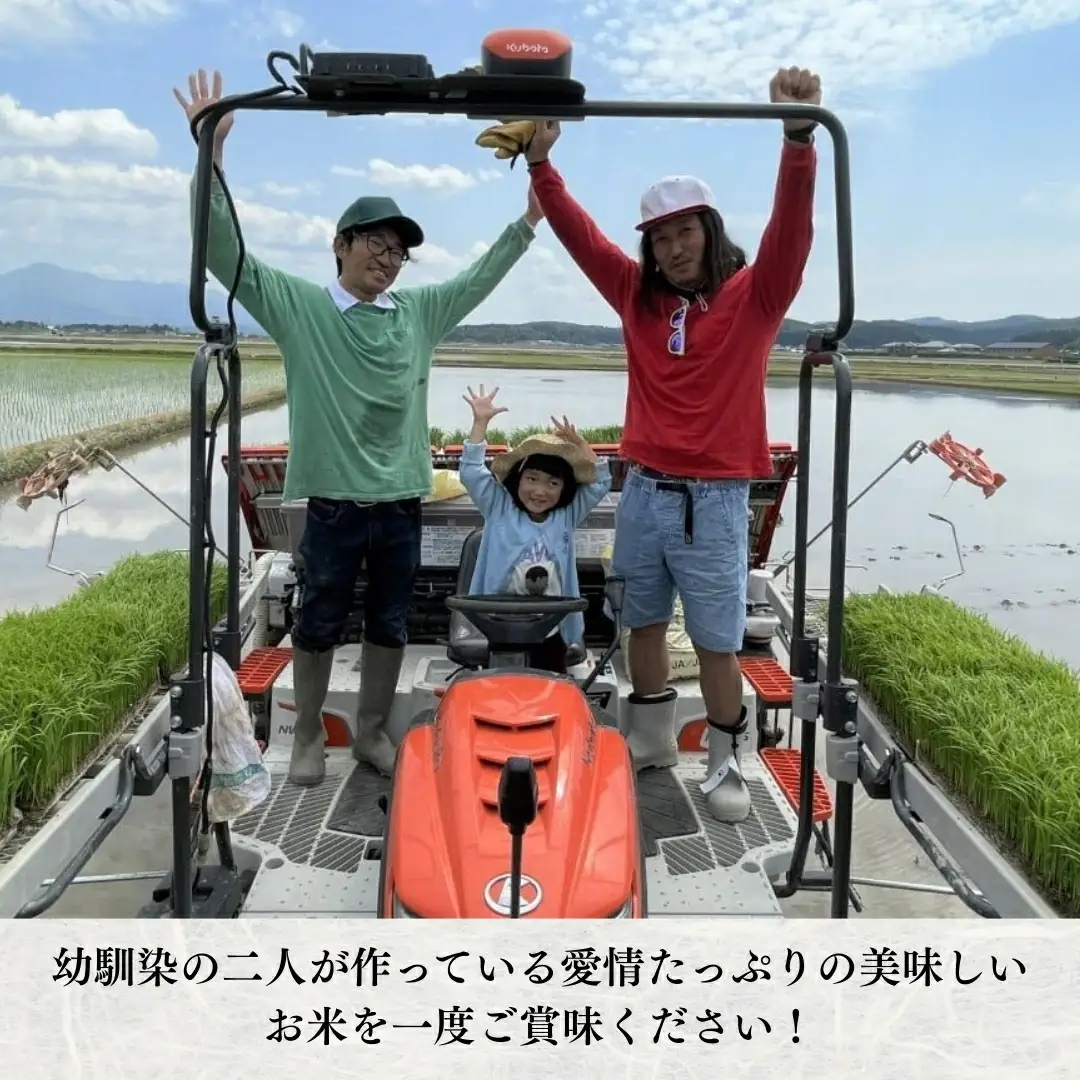 【令和7年産】コシヒカリ 精米 5kg | 新潟県 コシヒカリ