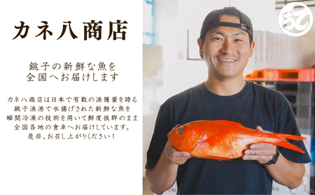 訳あり！ キハダマグロ 約1kg まぐろ