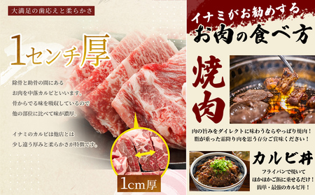 訳ありカルビ　大容量　1.5kg　タレ漬け　中落ちカルビ
