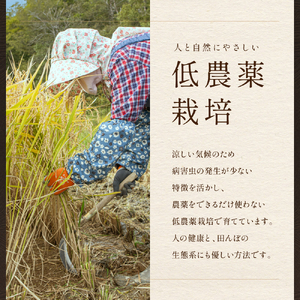 【12ヵ月定期便】北海道南るもい産【ななつぼし】(玄米)5kg R011-042
