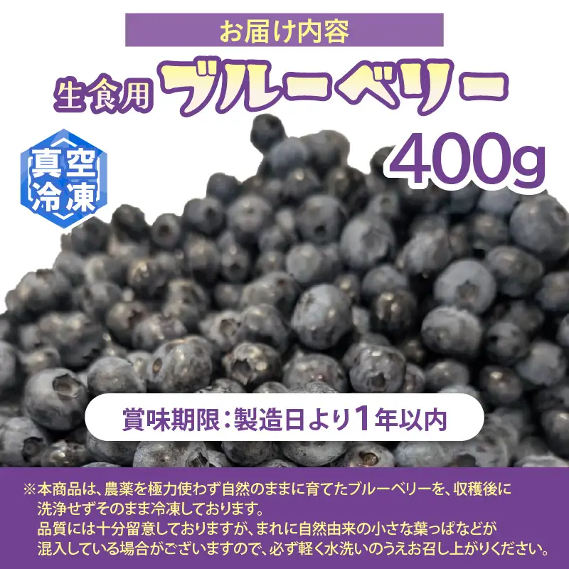 【訳あり】冷凍果実 福井県あわら市産 生食用ブルーベリー 真空冷凍 400g / ブルーベリー 冷凍 国産 目の健康 大粒 抗酸化作用 フルーツ 果物 お取り寄せ [aw007-a008]