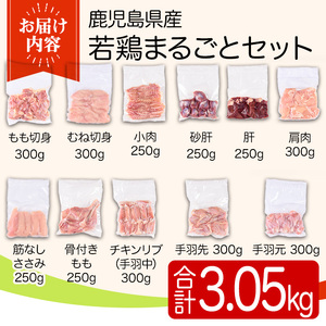 鹿児島県産若鶏まるごとセット(合計3.05kg) 国産 鶏肉 鳥肉 肉 若鶏 お肉 もも肉 モモ肉 むね肉 ムネ肉 胸肉 ささみ ササミ 筋なし 砂肝 肝 手羽先 キチンリブ 手羽元 肩肉 小肉 骨付きモモ セット 詰め合わせ 小分け 冷凍 真空パック 食べ比べ 【TRINITY】_y539