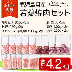 鹿児島県産若鶏焼肉セット(6種・合計4.2kg) 国産 鶏肉 鳥肉 肉 若鶏 お肉 もも肉 モモ肉 砂肝 肝 手羽中 肩肉 チキン チキンリブ セット 詰め合わせ 焼き肉 焼肉 やきにく 小分け 冷凍 真空パック 食べ比べ 【TRINITY】_y548