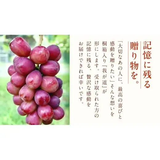 【桐箱入り】 我が道 ２房 【2026年9月上旬発送開始】(茨城県共通返礼品：大子町)