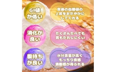 米粉 佐賀県産米粉 1kg×2袋 2kg 粉 佐賀県産 五つ星お米マイスター厳選 グルテンフリー お米 コメ こめ 料理 揚げ物 お菓子 離乳食 ※配送不可:離島