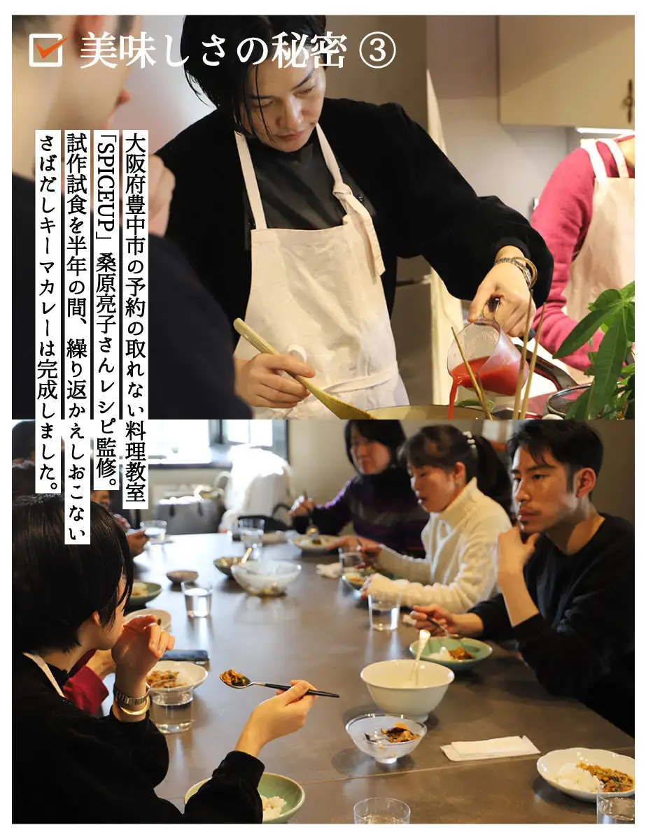 【きょうのおだし】さばだしキーマカレー 2食入［ 京都 削り節屋  おだしのプロ スパイスカレー 人気 おすすめ 和風カレー おいしい ギフト プレゼント お取り寄せ 通販 送料無料 ふるさと納税 ］