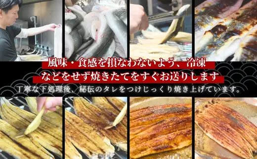 国産うなぎのかば焼き 1切（約250g）