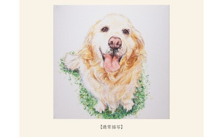 小さな油絵で大切なペットを描きます（18×18cm・背景無地）
