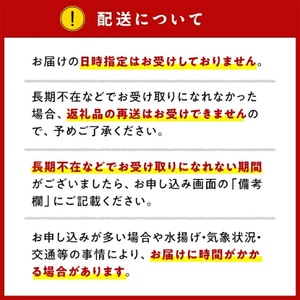 国産サーモン 詰め合わせセットF 約1.2kg [切り落とし (80g×10P)+スモーク (40g×10P)] 小分け パック 広島レモンサーモン [1966]