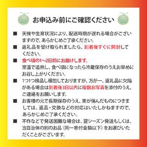 【ふるさと納税】先行受付＜メロン 2玉 合計約3kg＞ サンライズメロン 赤肉 めろん 赤 果物 フルーツ 果実 家庭用 旬 ちょっと訳あり【常温】高知県 佐川町 はちきんの店 ＜2026年7月中旬頃～8月中旬頃までに発送予定）＞