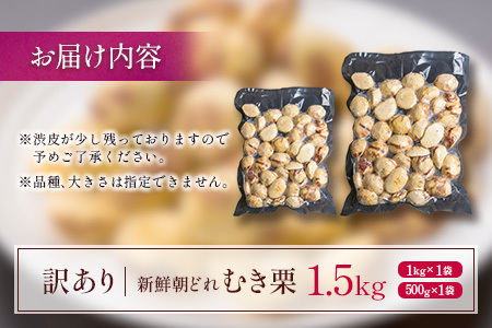 ＜2026出荷!!＞＜訳あり＞期間限定 国産 新鮮朝どれ（むき栗）1.5kg 産地直送 お取り寄せ 宝珠栗 宮崎県新富町産【C448-26】