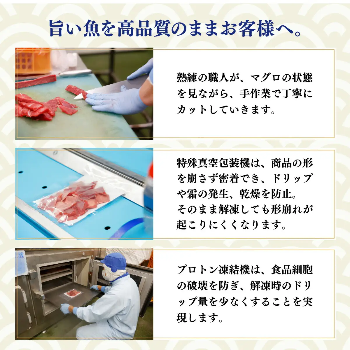 本まぐろ 赤身 中トロ 計1.2kg まぐろ【tk190】