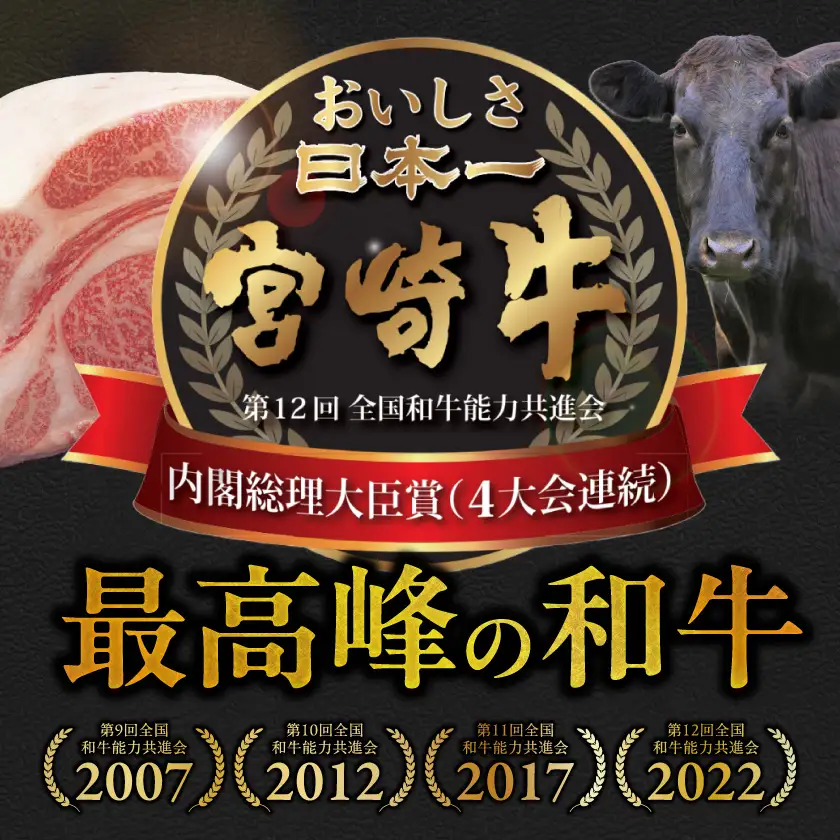 ≪6回連続お届け≫宮崎牛赤身霜降り食べ比べ定期便M(総重量6kg)〔T102-6-N201〕_(都城市) 宮崎牛 スライス 焼肉 2種セット 肩ロース又はロース ウデ又はモモ