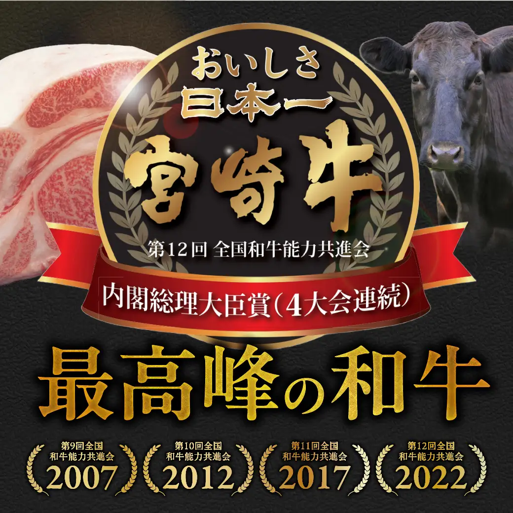 ≪6回連続お届け≫宮崎牛赤身霜降り食べ比べ定期便L(総重量12kg)〔T192-6-N201〕_(都城市) 宮崎牛 スライス 焼肉 2種セット 肩ロース又はロース ウデ又はモモ